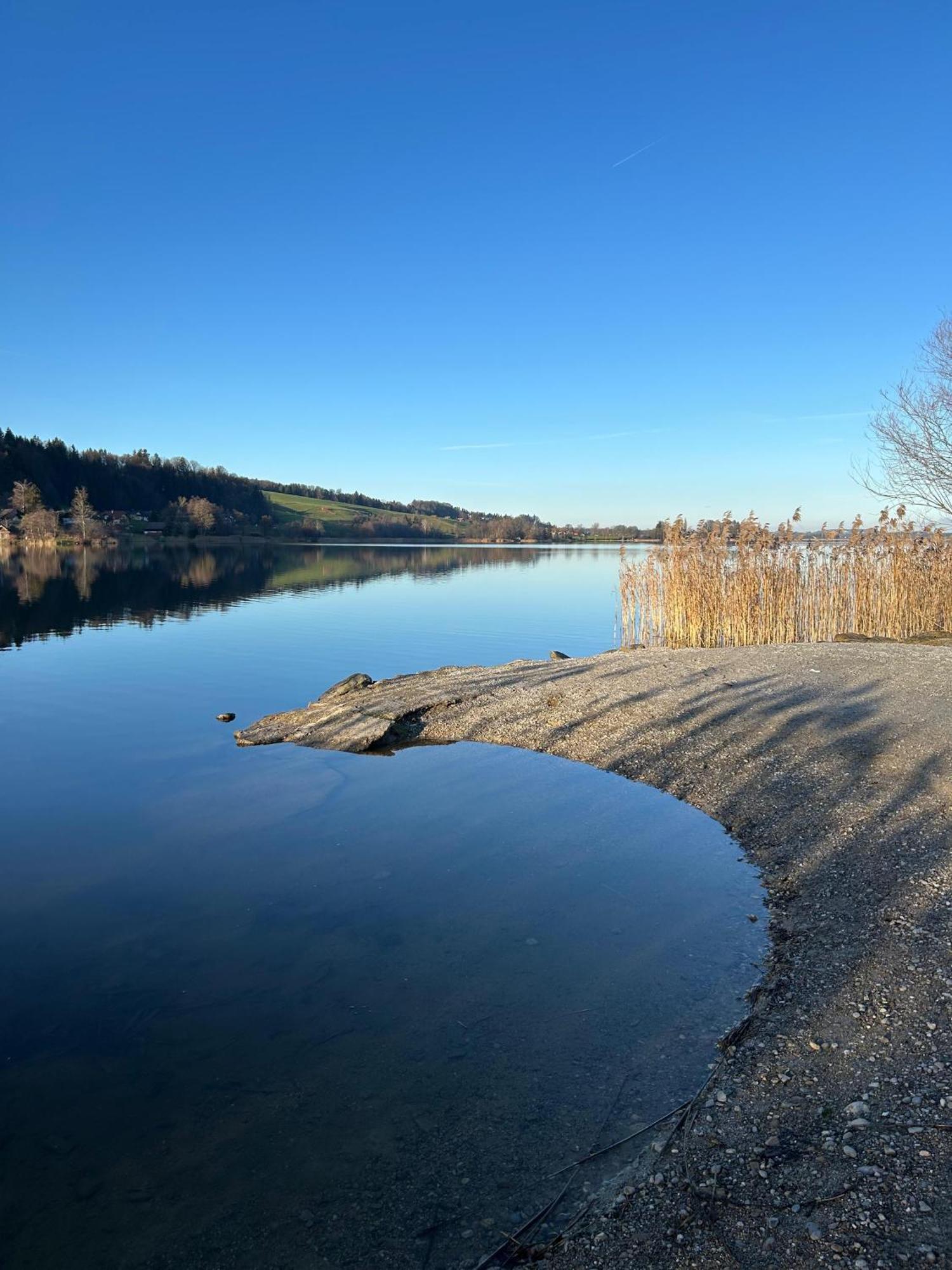 Ferienwohnungen Am See Obertrum am See Eksteriør bilde
